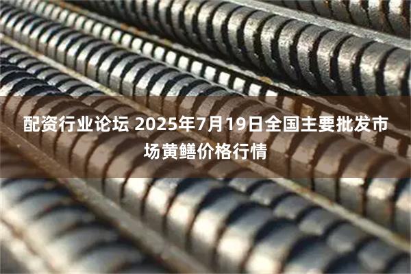 配资行业论坛 2025年7月19日全国主要批发市场黄鳝价格行情