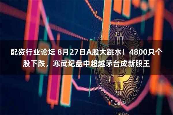 配资行业论坛 8月27日A股大跳水！4800只个股下跌，寒武纪盘中超越茅台成新股王