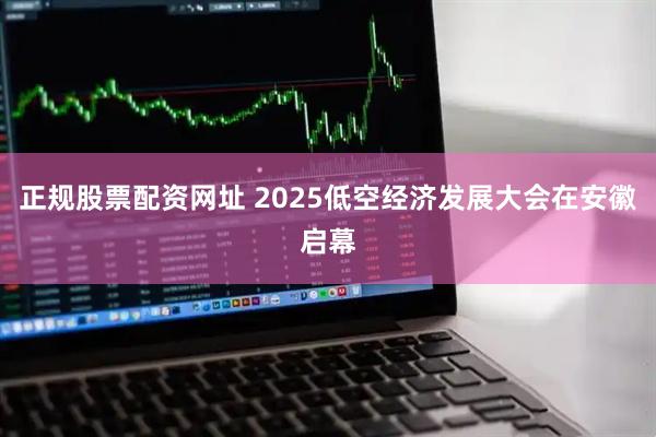 正规股票配资网址 2025低空经济发展大会在安徽启幕